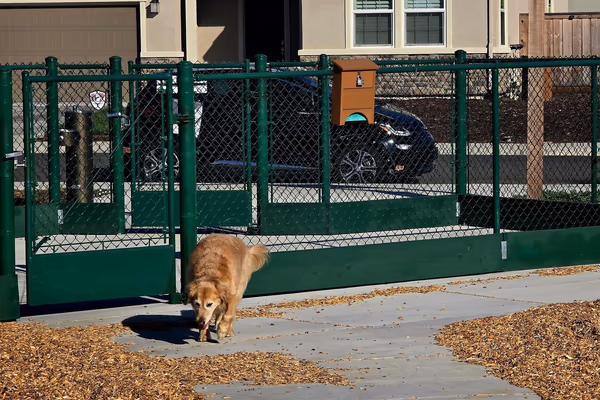 Owl Off-Leash Dog Park